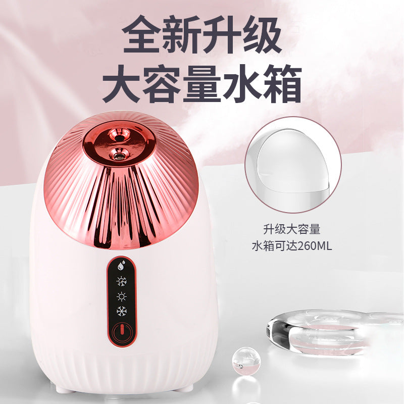 Hydrating Plumping Face Steamer Cold or Hot Spray Home Beauty Treatment and Steam Inhalation Therapy