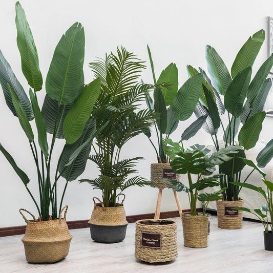 Simplistically Elegant Artificial Faux Potted Plants Floor-to-Ceiling Decor - Bamboo, Birds of paradise